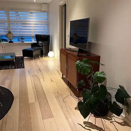 Apartment Luksus Lejlighed